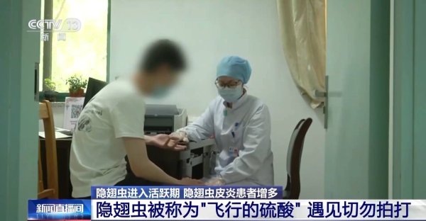 佳禾资本 别拍打！“飞行硫酸”隐翅虫进入活跃期 防范指南请查收→